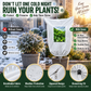 ⏳Time-Limited Special - Just ￡6.99⏰WINTER GARDEN ESSENTIAL | Plant Frost Protection Cover – Breathable Reusable Cover for Shrubs, Pots & Young Trees