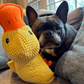 ⏰LAST DAY SALE 50% OFF 🦆Best Pet Supplies Crinkle Duck Plush