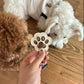 😻🐶Last Day 50% OFF🐾🐾Pet Paw Shaped Leather Keychain - Keep Them By Your Side✨