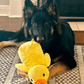 ⏰LAST DAY SALE 50% OFF 🦆Best Pet Supplies Crinkle Duck Plush