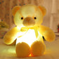 🎅New Year gifts Hot Sale 49% OFF🎁| 🧸Teddy bear, colourful LED light, soft toys🌈