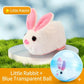 🥳2026 HOT SALE🥳💞50K+ SOLD! 💖🐱Self-Rolling Interactive Cat Ball