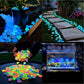 💥LAST DAY SALE 49%OFF💥🌈Colorful Glow-in-the-Dark Garden Stones