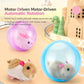 🥳2026 HOT SALE🥳💞50K+ SOLD! 💖🐱Self-Rolling Interactive Cat Ball