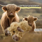 🎁🎁Cute Cartoon Highland Cow Cuddly Toy