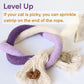 🔥LAST DAY 49% OFF😻Catnip Chew Rope Toy – Natural, Safe Tooth Cleaner for Indoor Cats