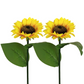 ⏳Time-Limited Special Price: ￡9.99!!⏰ Glamwhole™ Solar Sunflower Garden Stake Lights 🌻 | Waterproof 🌧️ | No Wiring💡