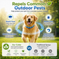 🔥 50% OFF Today 🐾 Natural Essential Oil Pet Pest Repellent Collar 🦟Safe Flea & Tick Protection for Dogs & Cats 💚
