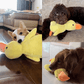 ⏰LAST DAY SALE 50% OFF 🦆Best Pet Supplies Crinkle Duck Plush