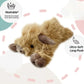 🎁🎁Cute Cartoon Highland Cow Cuddly Toy