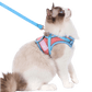 🎅Christmas Sale 49% Off🎄🔥Cat Harness & Leash😻