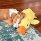 ⏰LAST DAY SALE 50% OFF 🦆Best Pet Supplies Crinkle Duck Plush