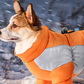 Reflective Waterproof Thickened Warm Dog Coat for Small Dogs