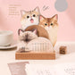 ⏳Limited-time 50% off⏰2026 3D Cats & Dogs Desk Calendar😻📆