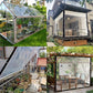 ⏳Limited-Time Hot Sales save 50%🌧️Clear Waterproof PE Tarpaulin – Garden & Patio Rain Cover
