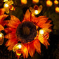 📢📢Limited Time Offer - ONLY ￡8.99💥50% OFF⏰Cute Bee Solar Lights