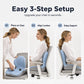 🔥Limited-Time🪑55% OFF NOW! ✨Ergonomic memory foam seat cushion with back support
