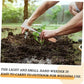 ⏳Limited - Time Sales: save 50%!!🔥Over 30K+ SOLD!!!🌿 Patio Weeder Tool – Easily Clear Weeds From Paving Gaps