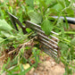 💥LAST DAY HOT SALES - JUST ￡6.99🔥Manual Weed Remover Tool for Lawn and Garden